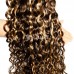 #4/27 Honey Blonde Highlight Water Wave Virgin Human Hair Bundles
